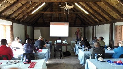 Small Jormin Team building 2